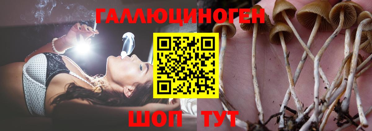 Галлюциногенные грибы Magic Shrooms  Вход с VPN  Ливны 